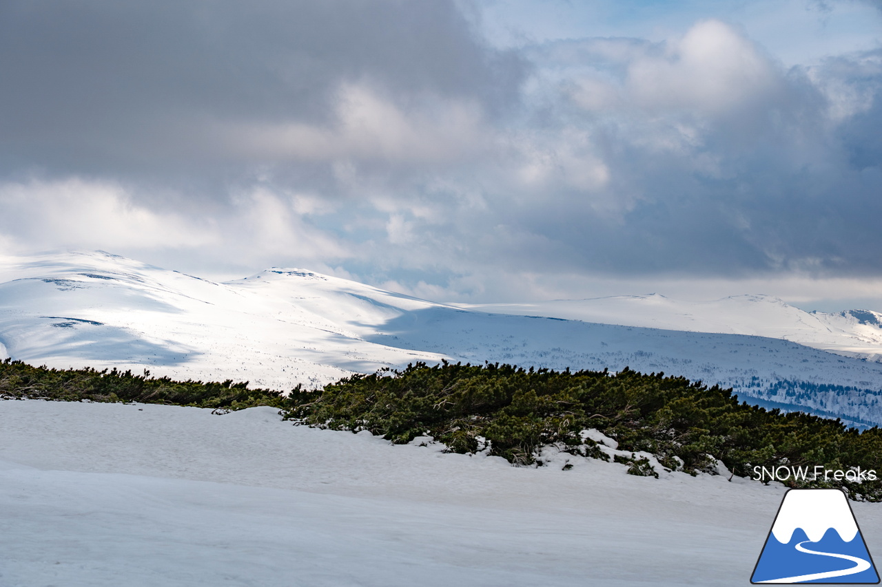 大雪山旭岳ロープウェイ｜北海道最高峰「旭岳」で、ひと足先に滑り納め…。2024-2025シーズンも SNOW Freaks をご覧くださり、どうもありがとうございました！